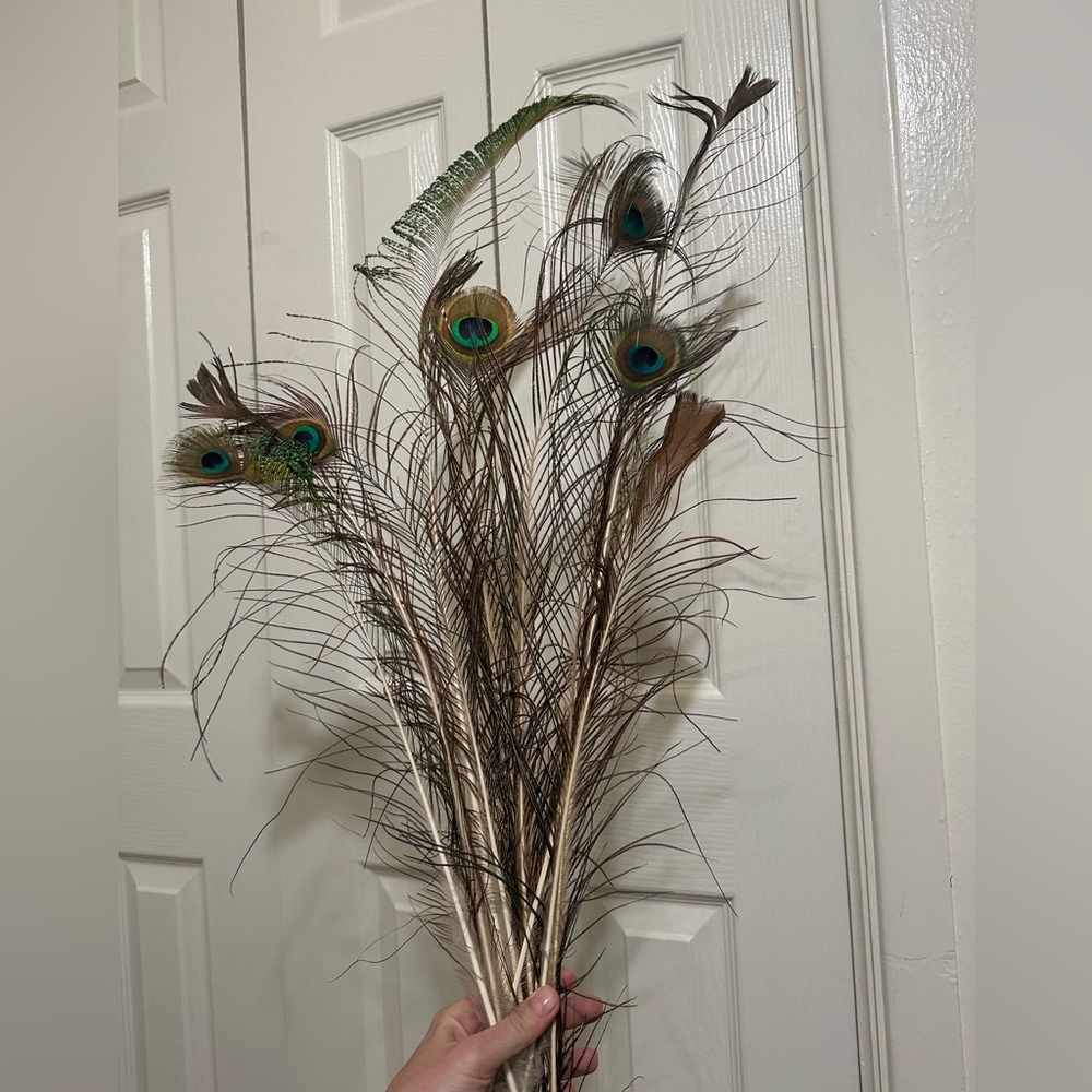 Real vintage peacock feathers 2 large 1 medium 1 small lot.